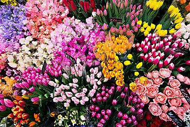 《星球大战绝地武士2：绝地放逐者》光追Mod演示